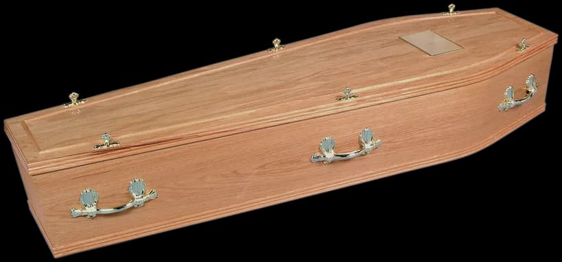 The Alnwick coffin