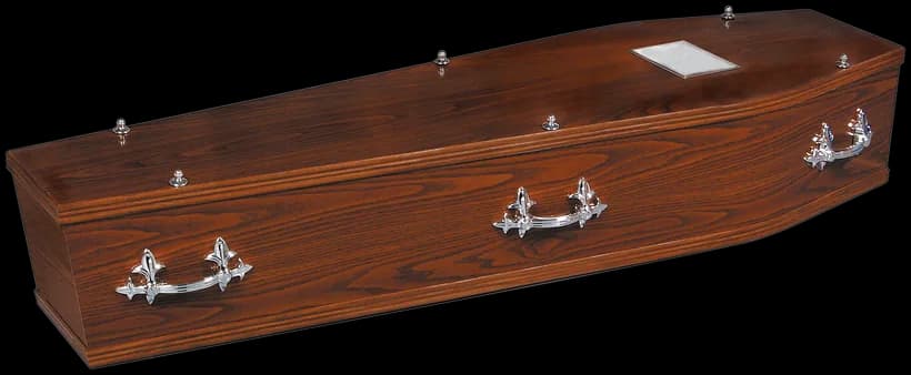 The Arran coffin