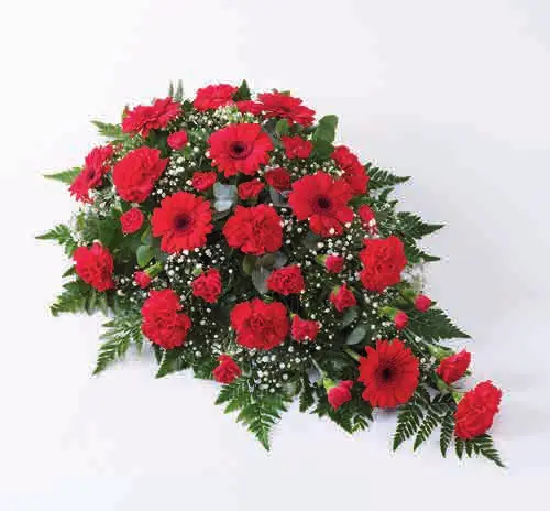 Carnation and germini teardrop spray, red, from our sprays