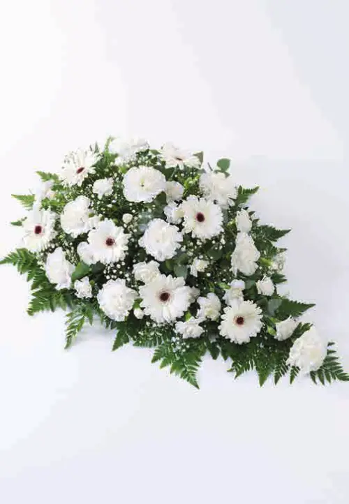 Carnation and germini teardrop spray, white, from our sprays