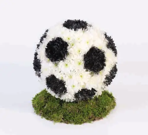 Football tribute, from our special tributes