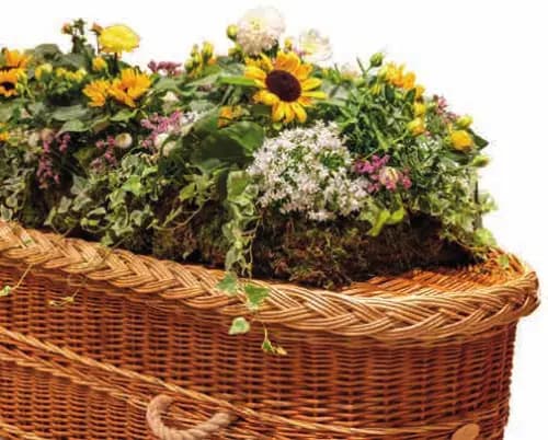 Garden planted spray, from our coffin sprays and garlands