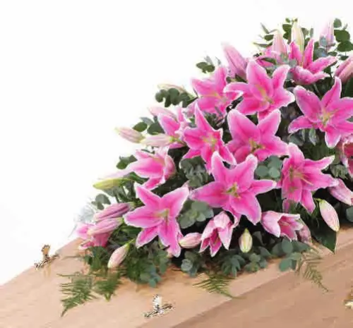 Lily coffin spray, pink, from our coffin sprays and garlands