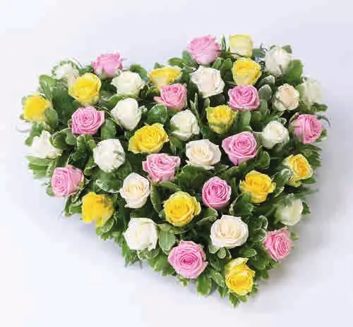 Mixed rose heart, mixed, from our hearts
