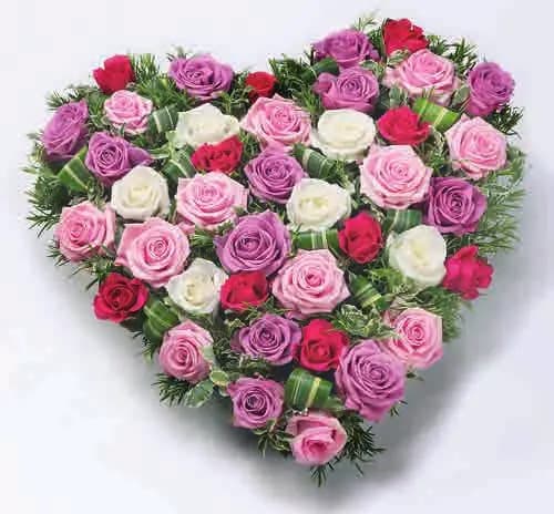 Mixed rose heart, red and pink, from our hearts
