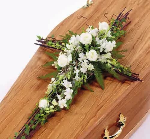 Orchid cross, from our crosses