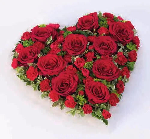 Red rose and carnation heart, from our hearts